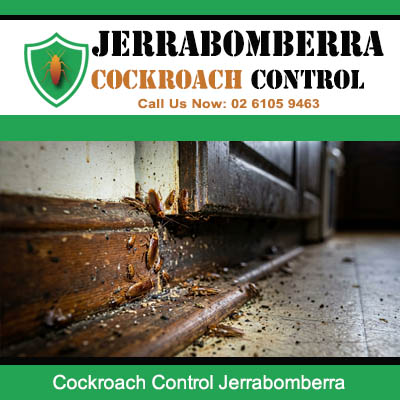 Close up of heavy cockroach debris and droppings at severely damaged timber door frame base and tiled floor junction in Jerrabomberra NSW